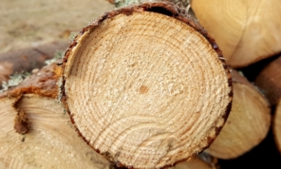 Kunststofffrästeile Holzindustrie